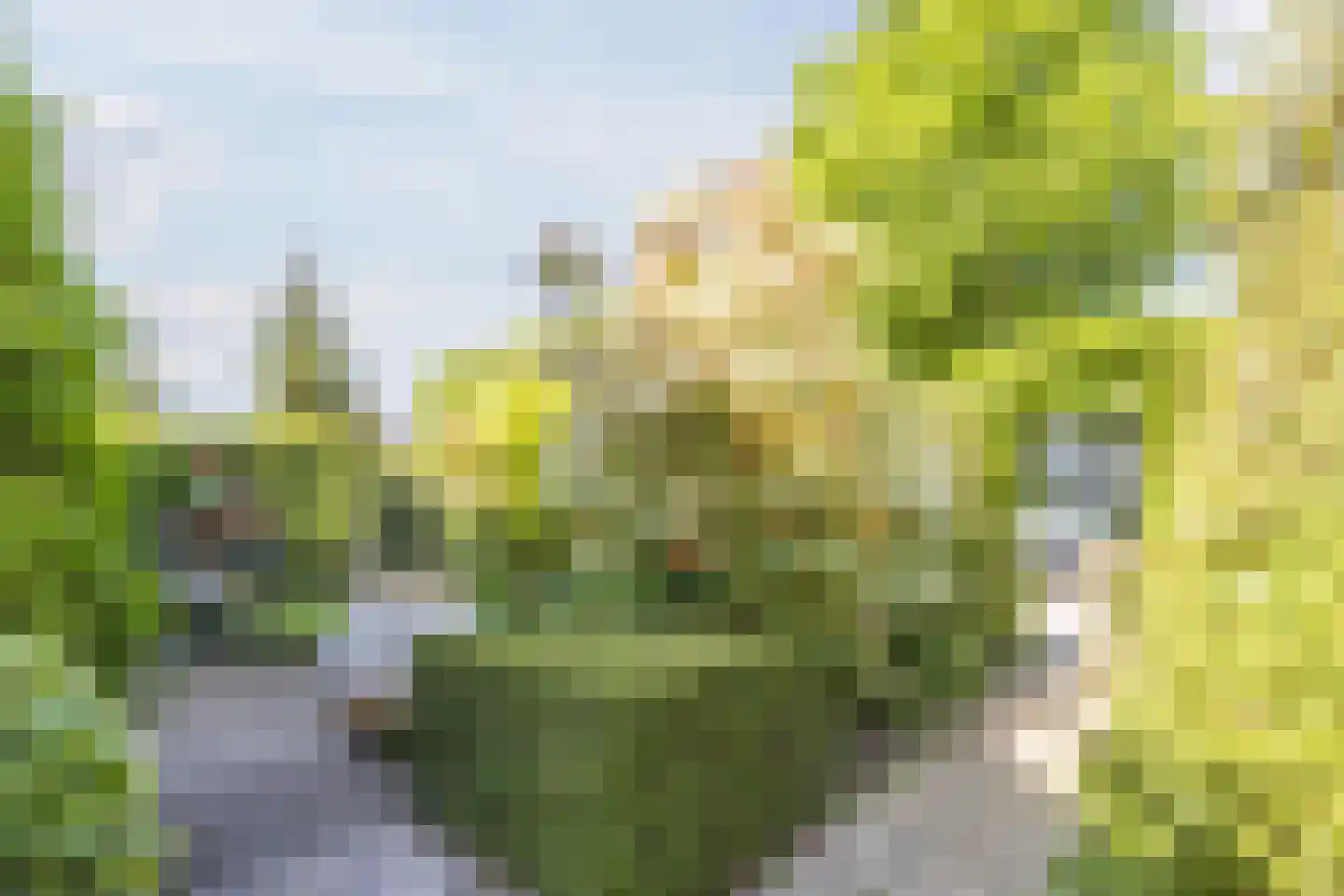 Wethouder Kentiestraat 1 a Woudrichem thumbnail 39