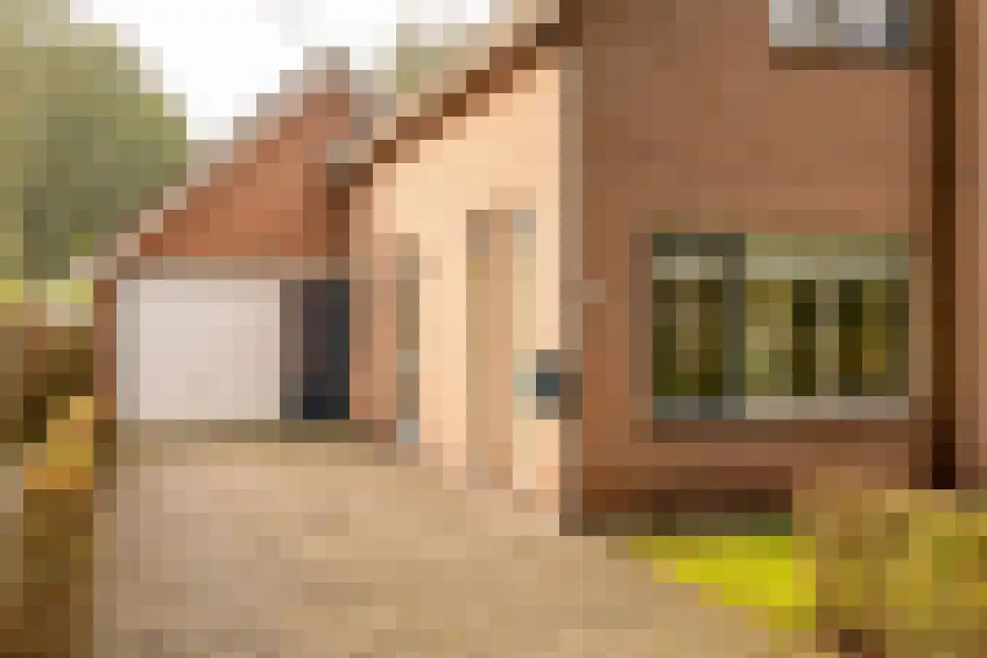 Wethouder Klunderstraat 15 Zuidwolde thumbnail 10