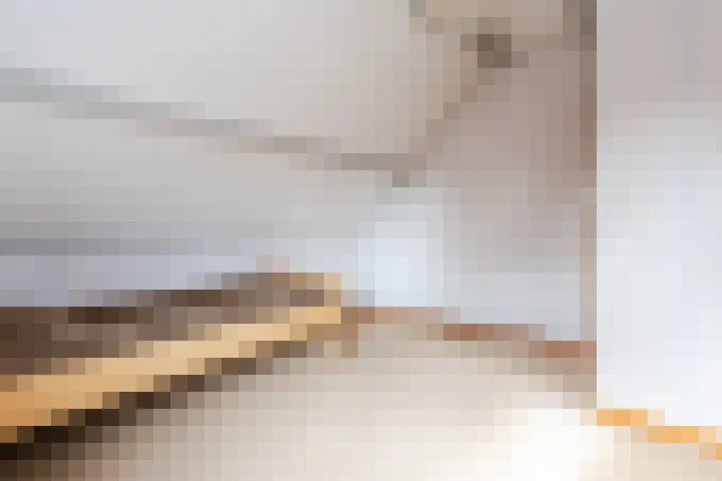 Wethouder Klunderstraat 15 Zuidwolde thumbnail 31