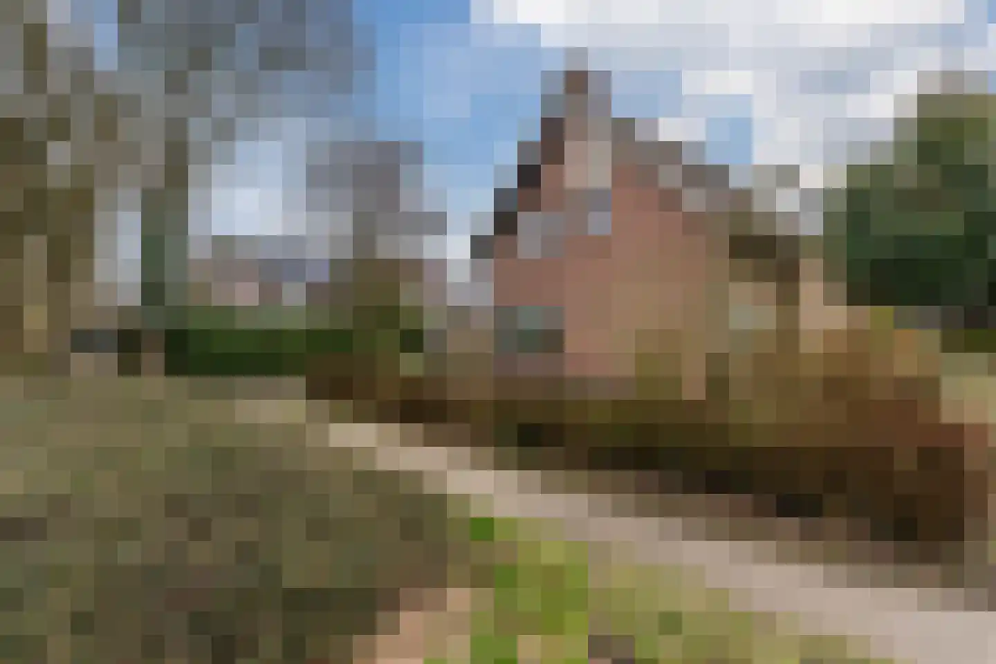 Wethouder Klunderstraat 15 Zuidwolde thumbnail 4