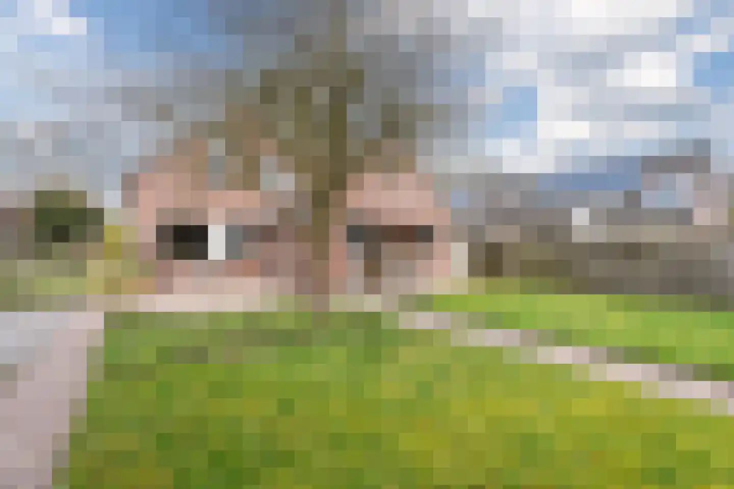 Wethouder Klunderstraat 15 Zuidwolde thumbnail 42