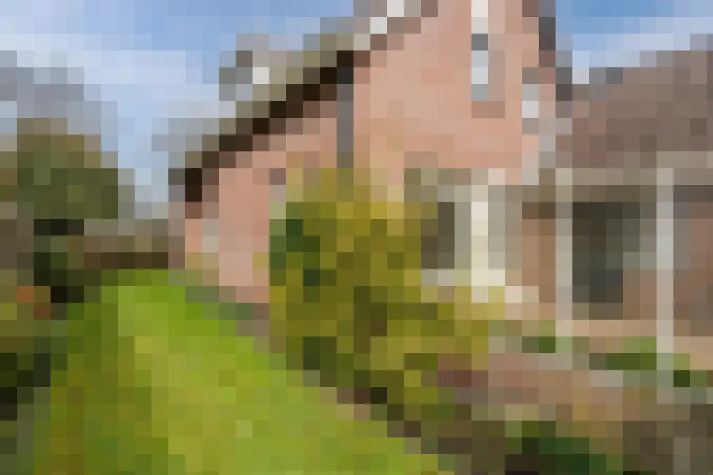 Wethouder Klunderstraat 15 Zuidwolde thumbnail 46