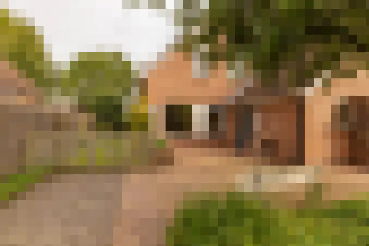 Wethouder Klunderstraat 15 Zuidwolde thumbnail 58