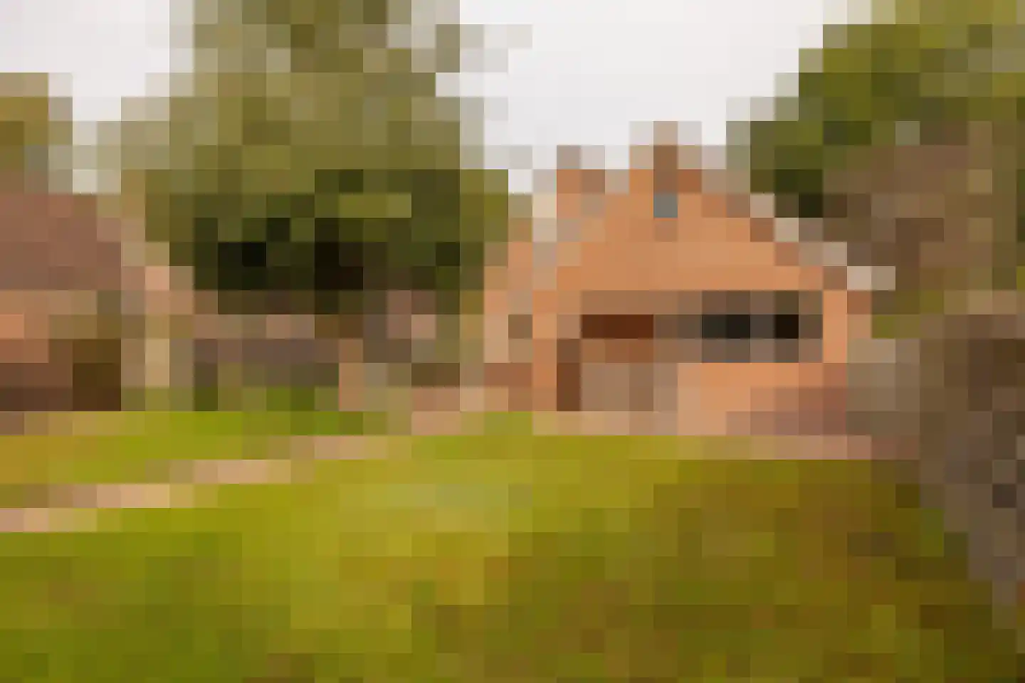 Wethouder Klunderstraat 15 Zuidwolde thumbnail 62