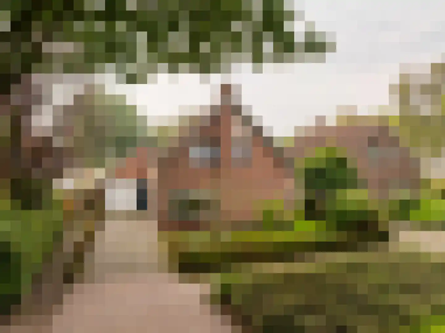 Wethouder Klunderstraat 15 Zuidwolde thumbnail 65