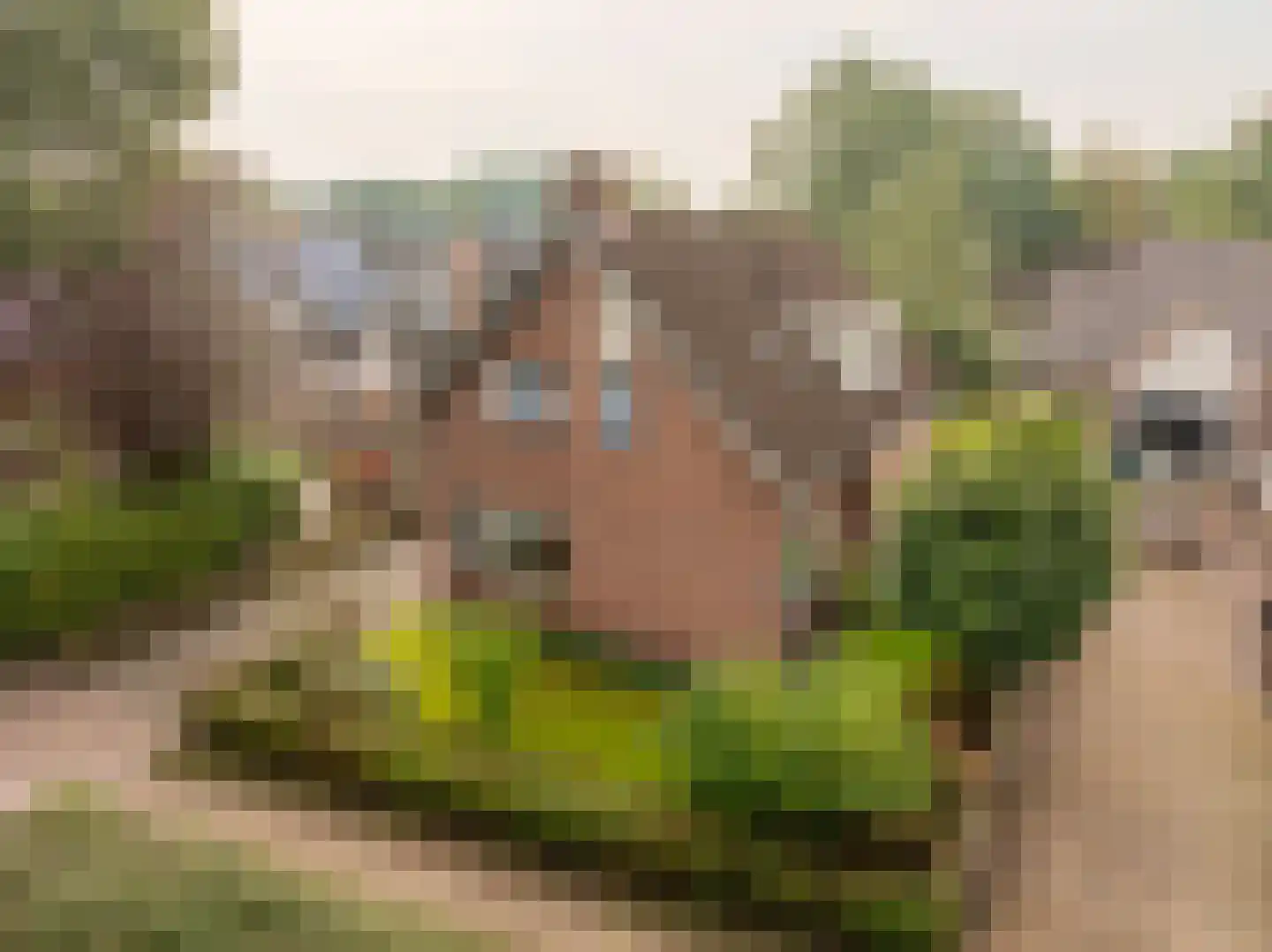 Wethouder Klunderstraat 15 Zuidwolde thumbnail 7