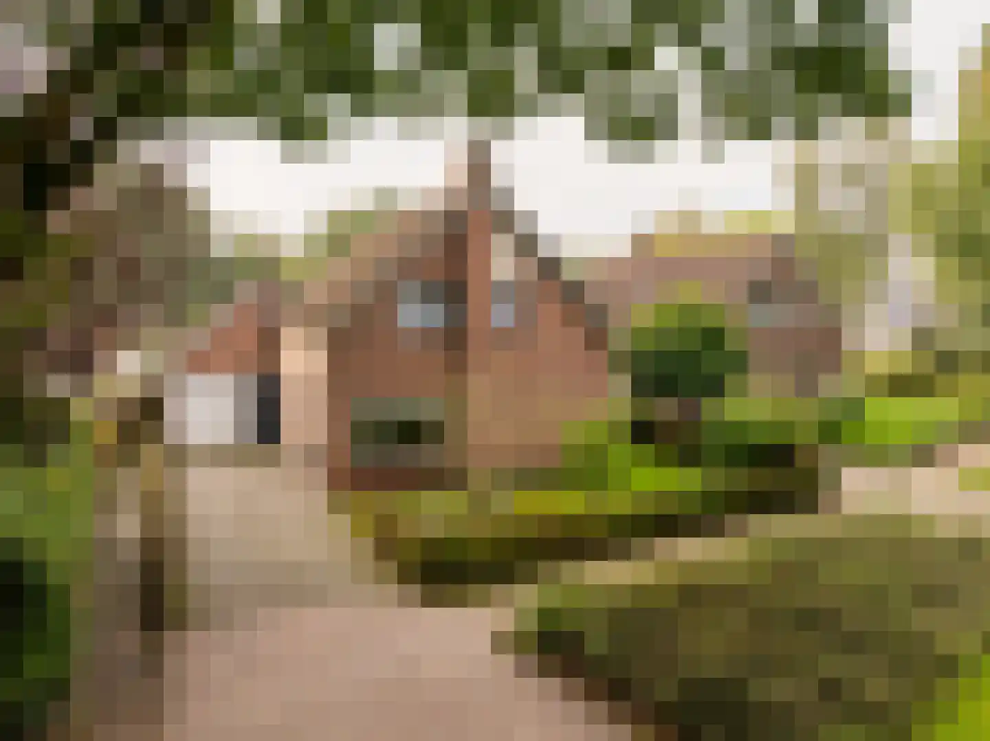 Wethouder Klunderstraat 15 Zuidwolde thumbnail 9