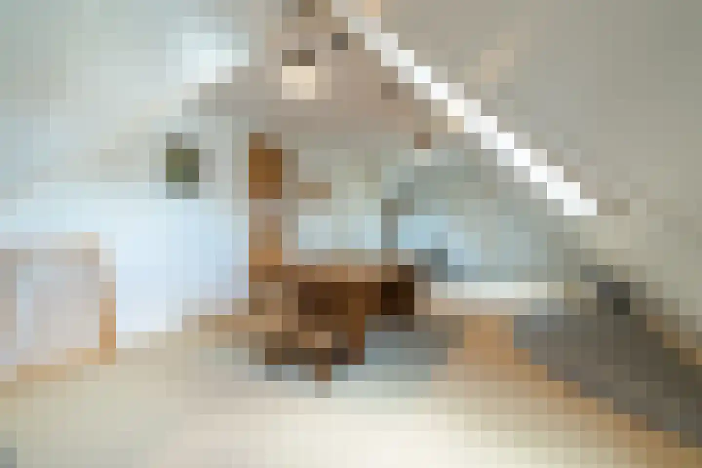 Wethouder Klunderstraat 30 Zuidwolde thumbnail 37