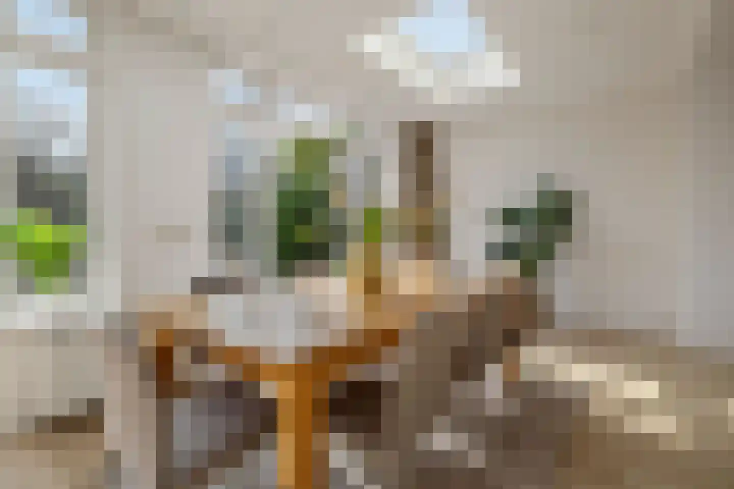 Wethouder Königlaan 8 Naarden thumbnail 9
