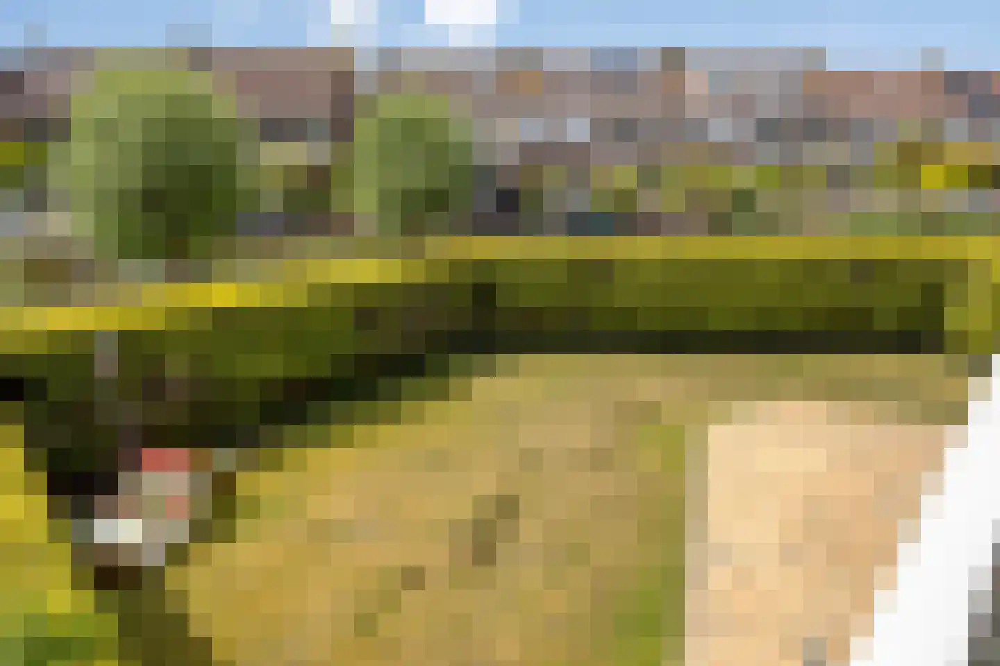 Wethouder Koningslaan 97 Volendam thumbnail 5