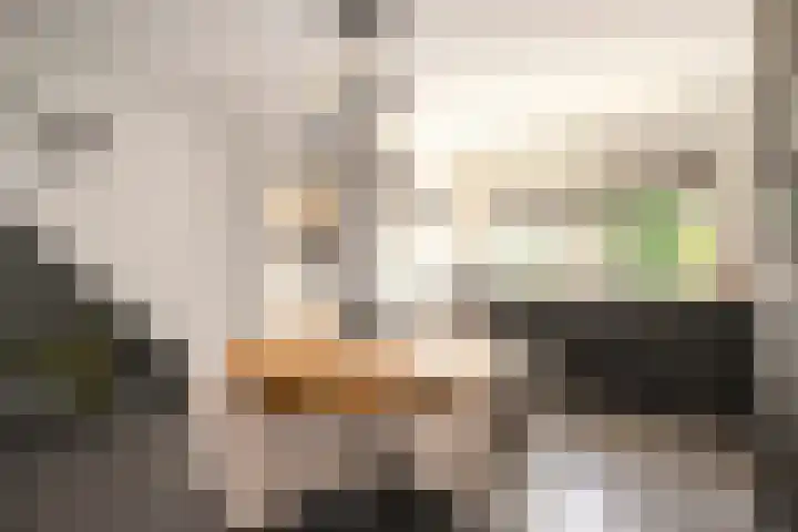 Wethouder Kreftlaan 18 Zevenhuizen thumbnail 10