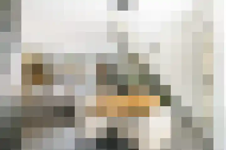 Wethouder Kreftlaan 18 Zevenhuizen thumbnail 13