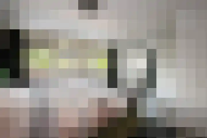 Wethouder Kreftlaan 18 Zevenhuizen thumbnail 21