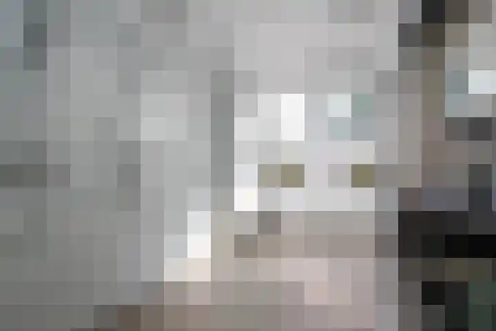 Wethouder Kreftlaan 18 Zevenhuizen thumbnail 22