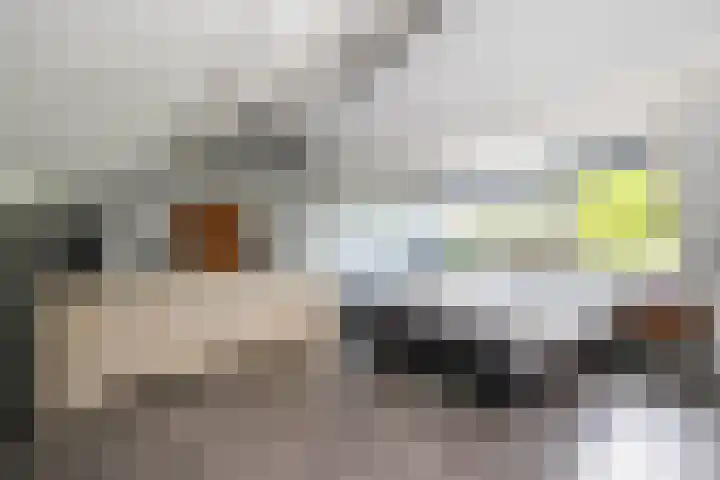 Wethouder Kreftlaan 18 Zevenhuizen thumbnail 25