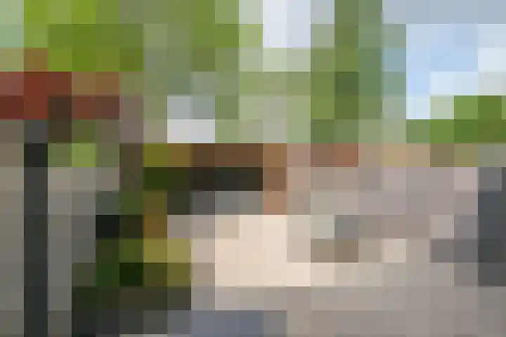 Wethouder Kreftlaan 18 Zevenhuizen thumbnail 31