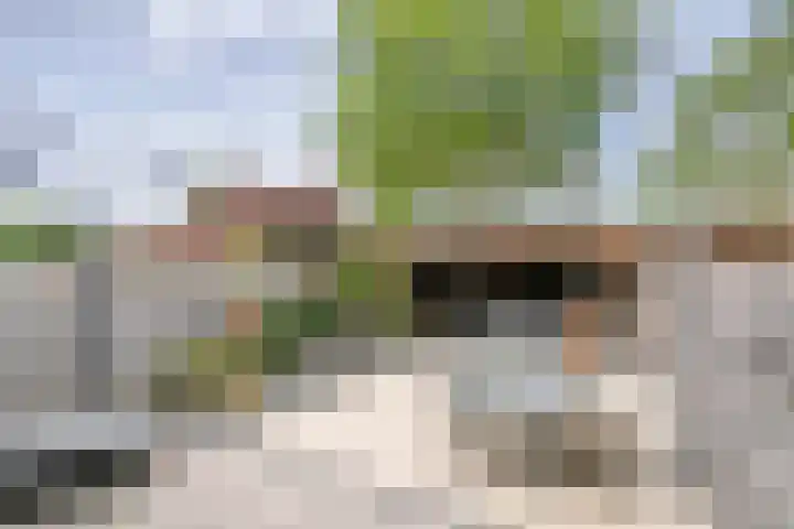 Wethouder Kreftlaan 18 Zevenhuizen thumbnail 32