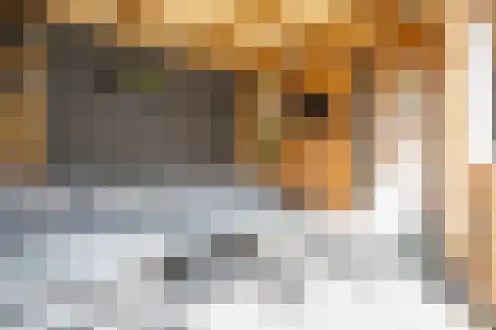 Wethouder Kreftlaan 18 Zevenhuizen thumbnail 34