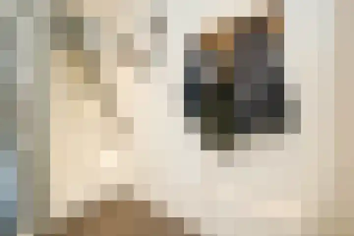 Wethouder Kreftlaan 18 Zevenhuizen thumbnail 8