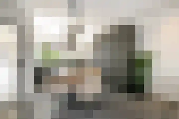 Wethouder Kreftlaan 18 Zevenhuizen thumbnail 9