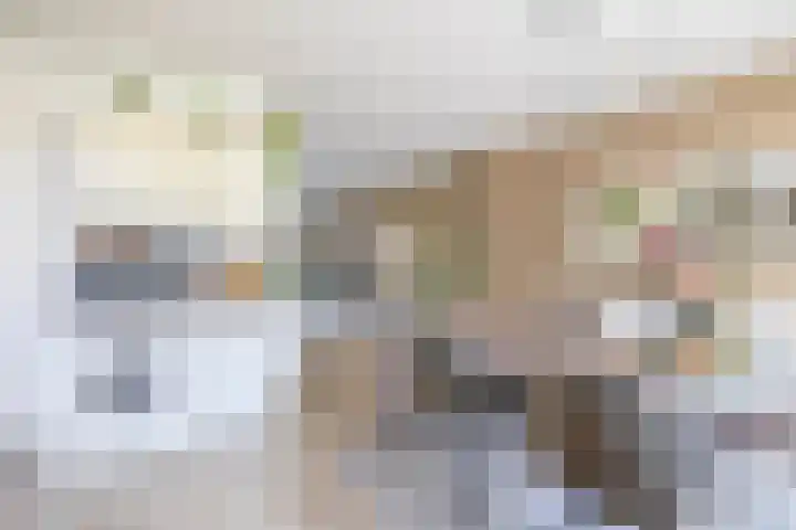 Wethouder Kreftlaan 19 Zevenhuizen thumbnail 12