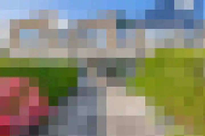 Wethouder Kreftlaan 19 Zevenhuizen thumbnail 22