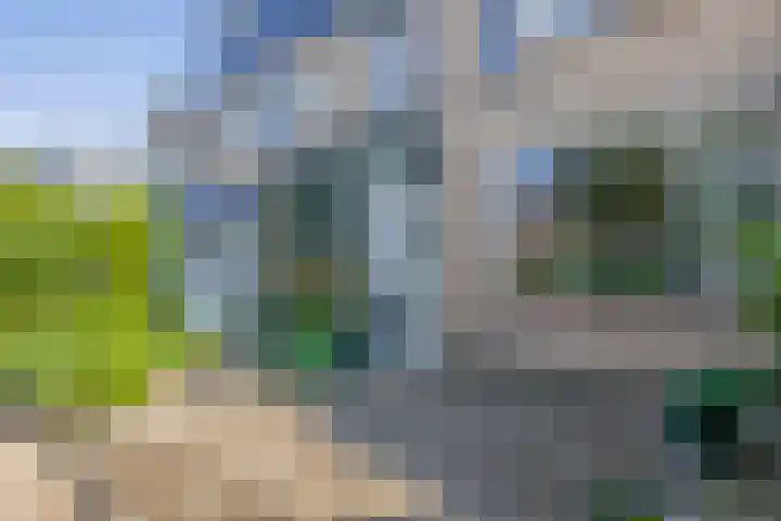Wethouder Kreftlaan 19 Zevenhuizen thumbnail 4