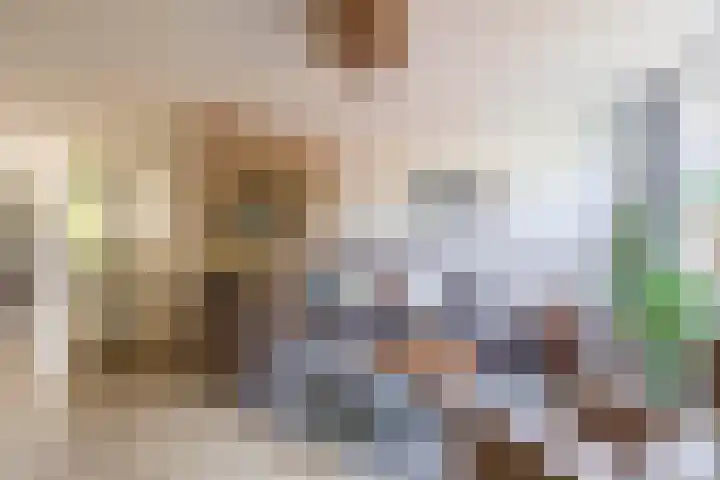 Wethouder Kreftlaan 19 Zevenhuizen thumbnail 7