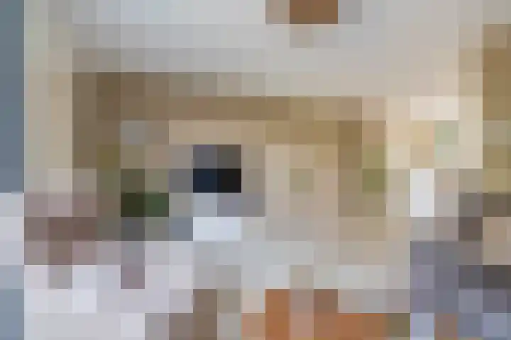 Wethouder Kreftlaan 19 Zevenhuizen thumbnail 8