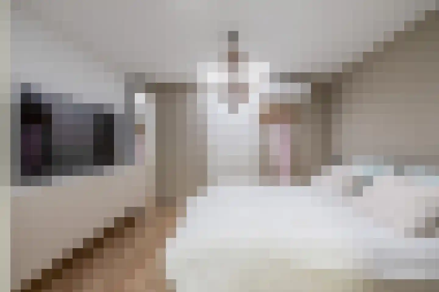 Wethouder Kreftlaan 4 Zevenhuizen thumbnail 17