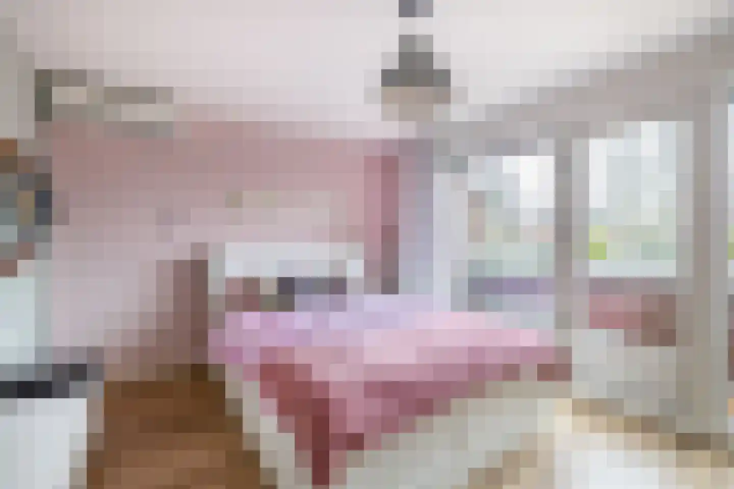 Wethouder Kreftlaan 4 Zevenhuizen thumbnail 20