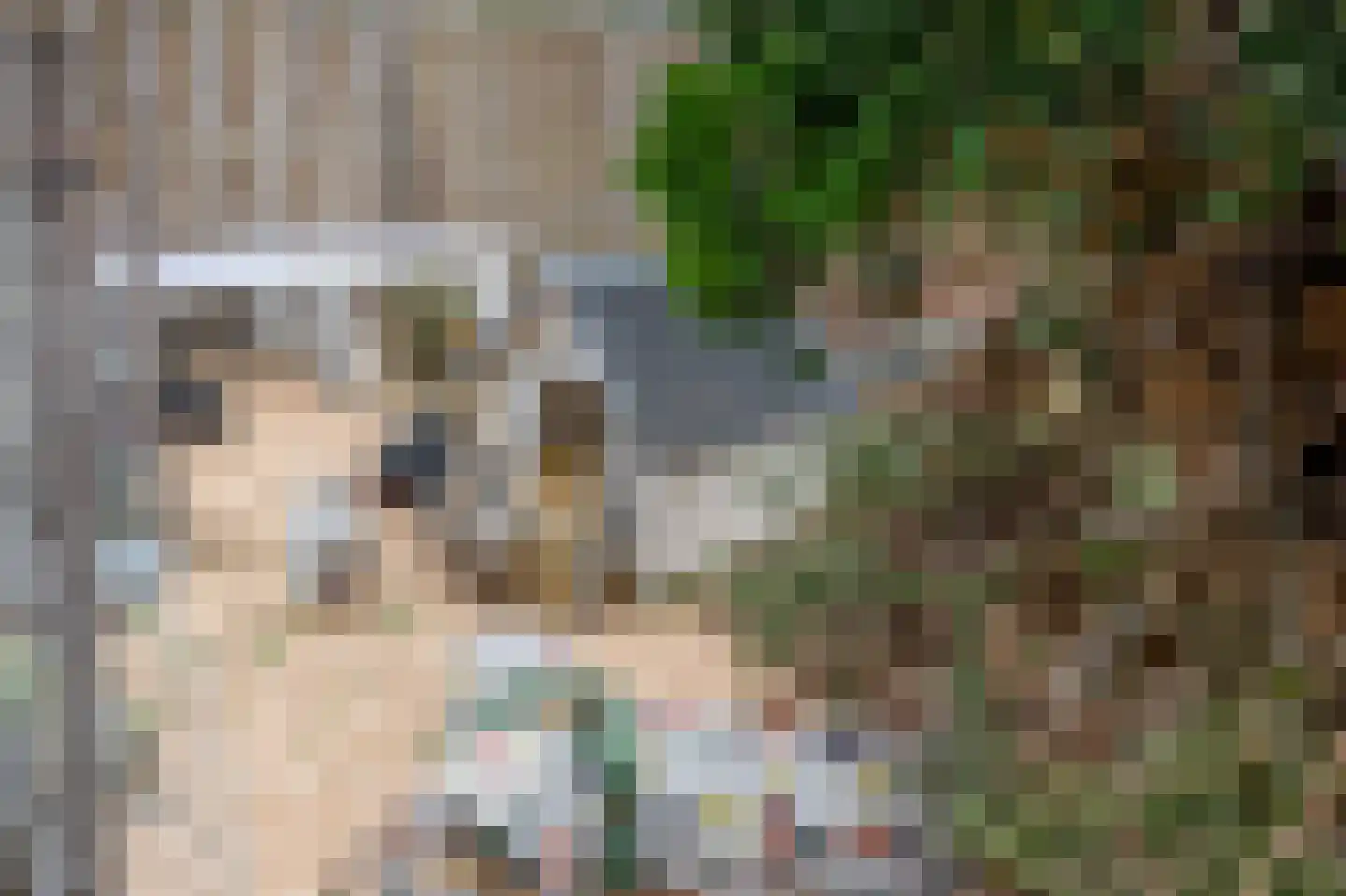 Wethouder Kreftlaan 4 Zevenhuizen thumbnail 36