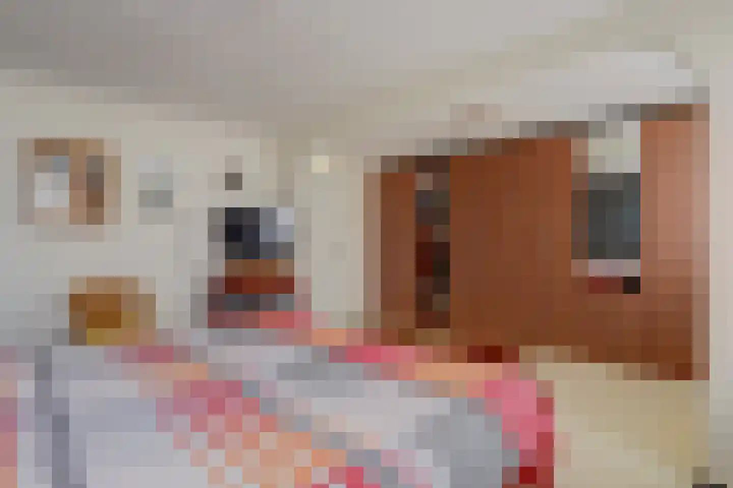 Wethouder Kreftlaan 41 Zevenhuizen thumbnail 19