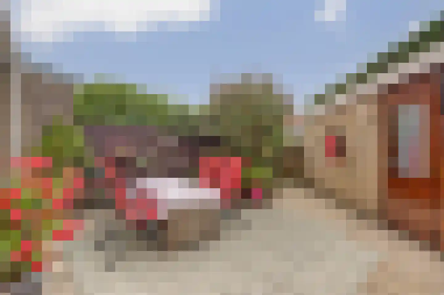 Wethouder Kreftlaan 41 Zevenhuizen thumbnail 5