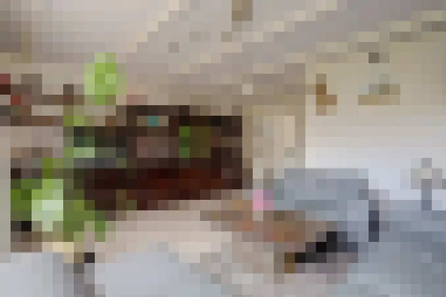 Wethouder Kreftlaan 41 Zevenhuizen thumbnail 8