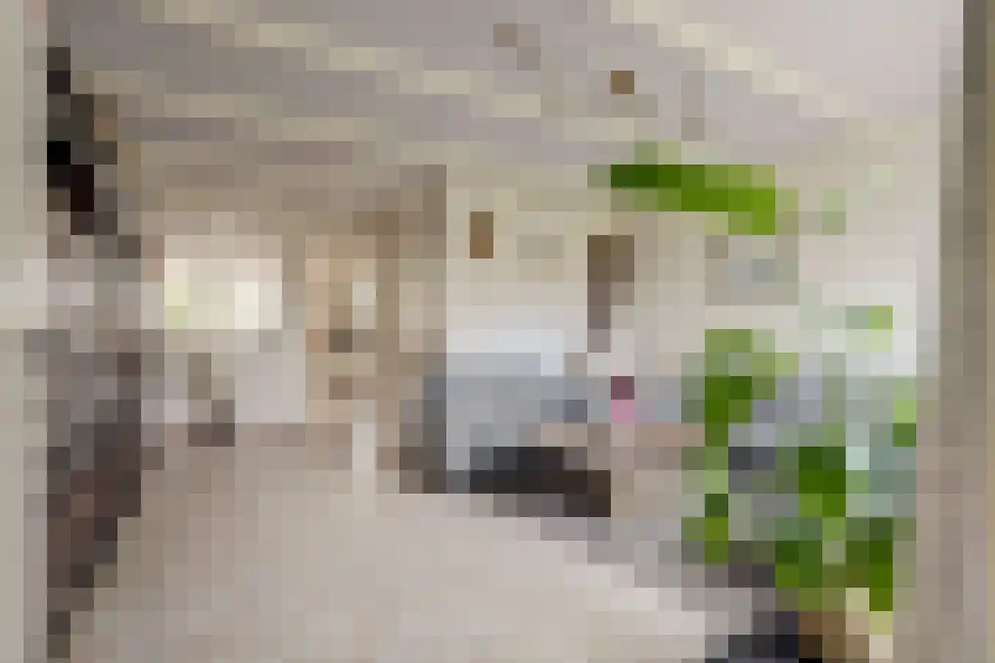 Wethouder Kreftlaan 41 Zevenhuizen thumbnail 9
