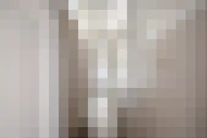 Wethouder Lemmenstraat 11 Sint Hubert thumbnail 31