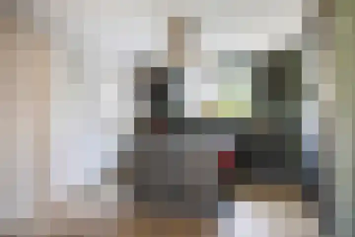 Wethouder Lemmenstraat 11 Sint Hubert thumbnail 8