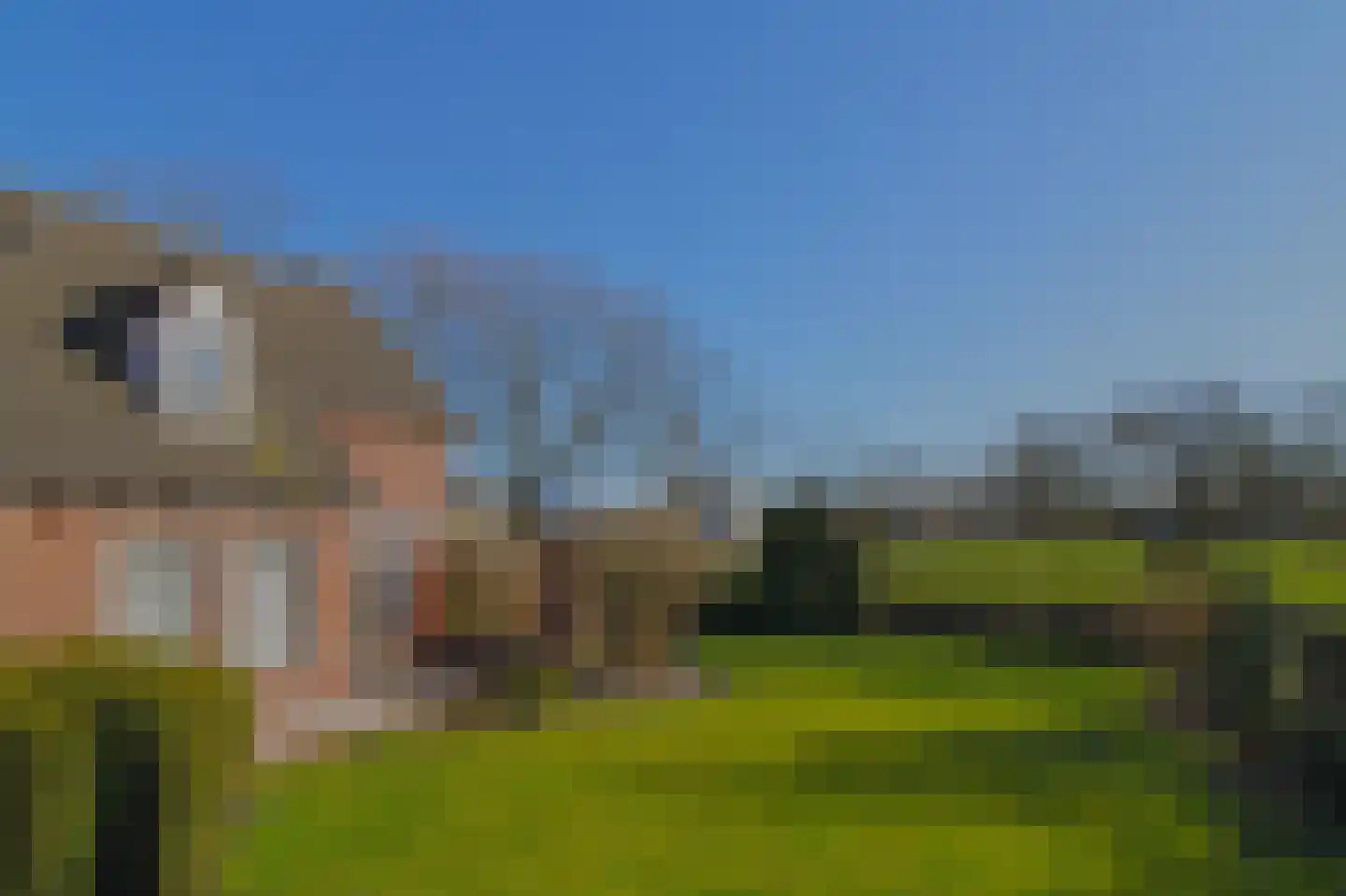 Wethouder Lindersstraat 2 Wilbertoord thumbnail 48