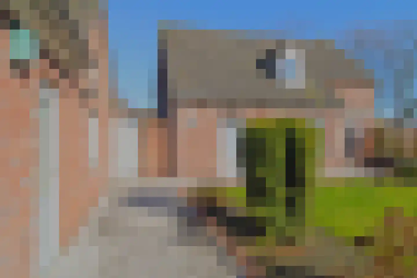 Wethouder Lindersstraat 2 Wilbertoord thumbnail 49