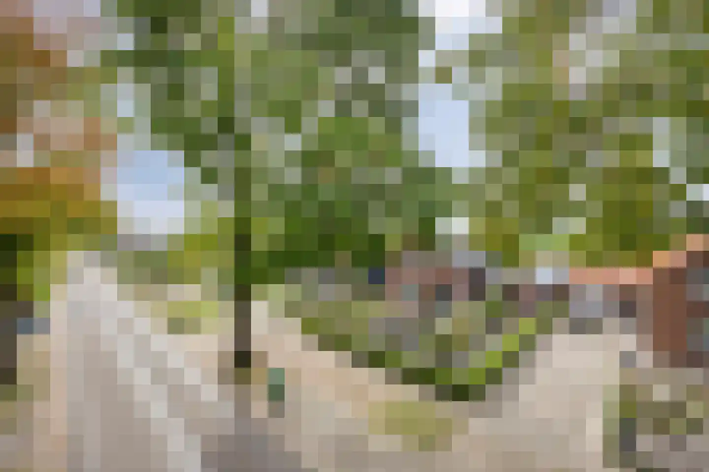 Wethouder Lindersstraat 56 Wilbertoord thumbnail 17