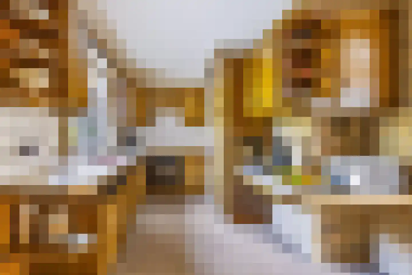 Wethouder Loeffenstraat 4 Ewijk thumbnail 15