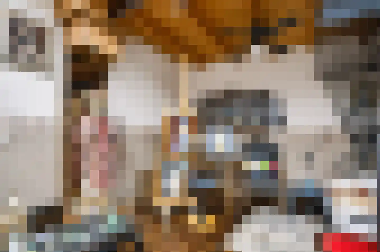 Wethouder Loeffenstraat 4 Ewijk thumbnail 31