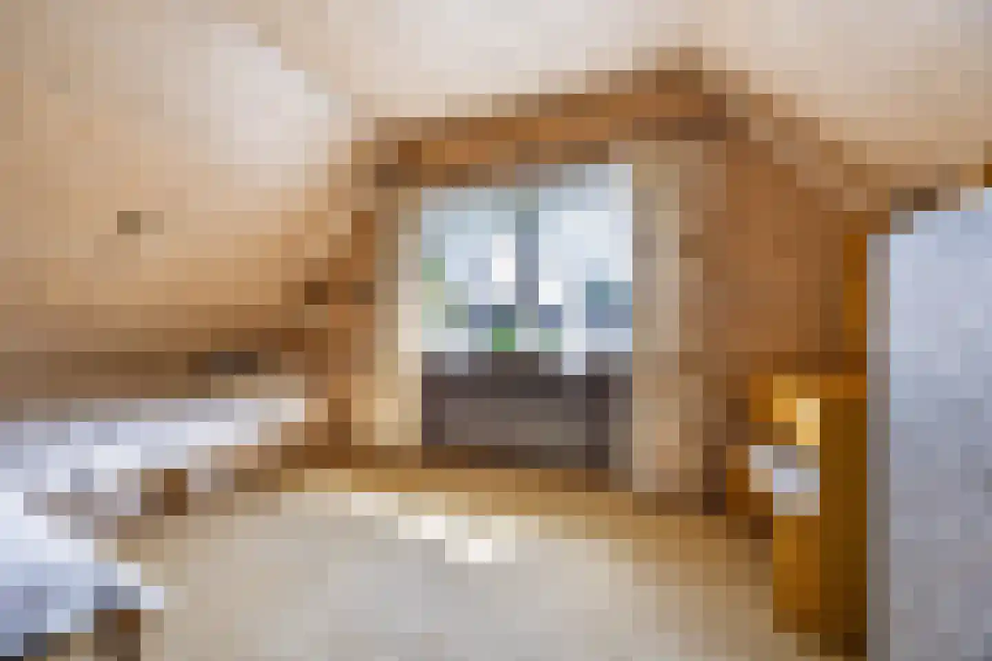 Wethouder Loeffenstraat 4 Ewijk thumbnail 33