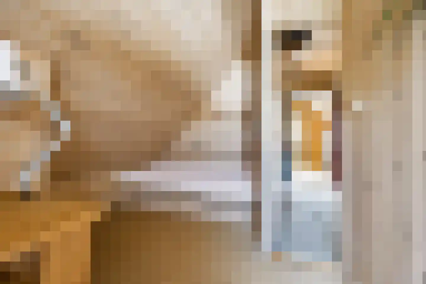 Wethouder Loeffenstraat 4 Ewijk thumbnail 38