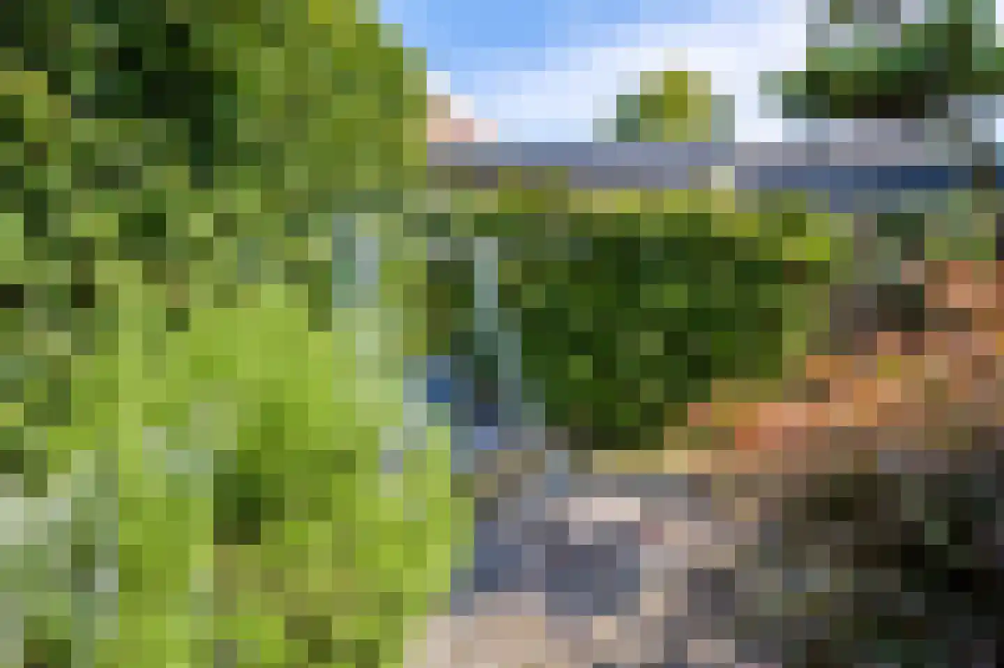 Wethouder Loeffenstraat 4 Ewijk thumbnail 4
