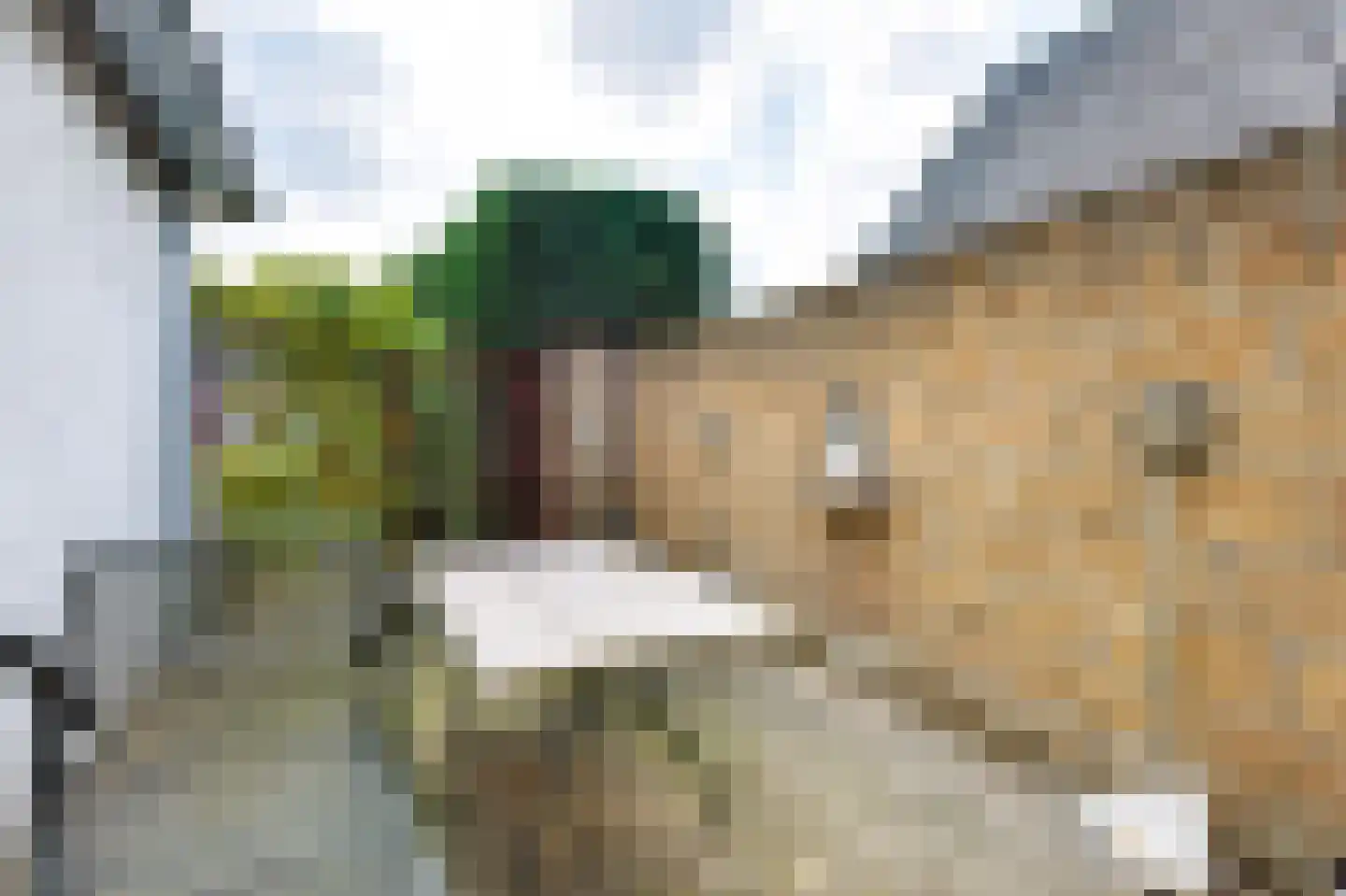 Wethouder Loeffenstraat 4 Ewijk thumbnail 54