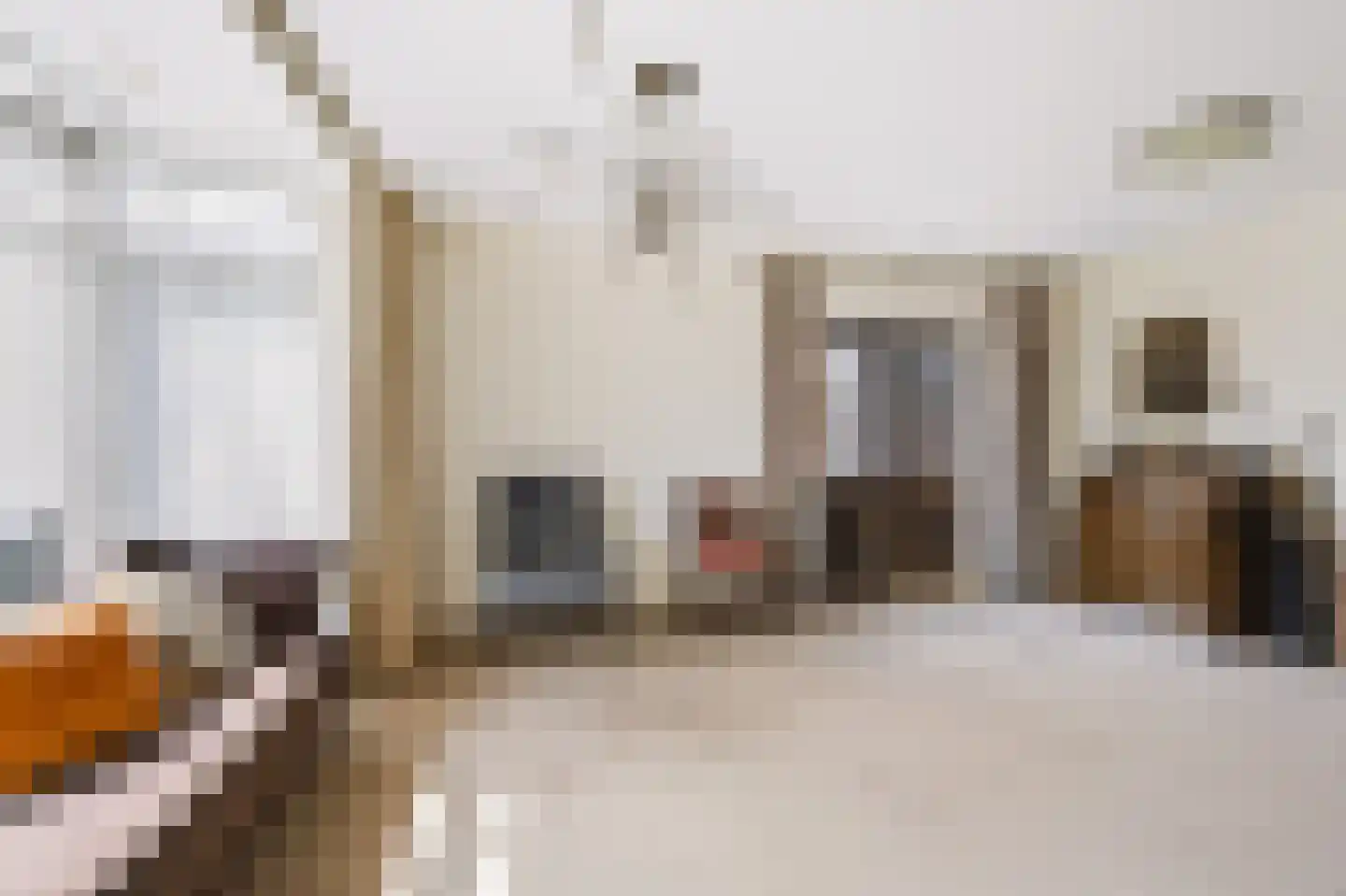 Wethouder Loeffenstraat 4 Ewijk thumbnail 9