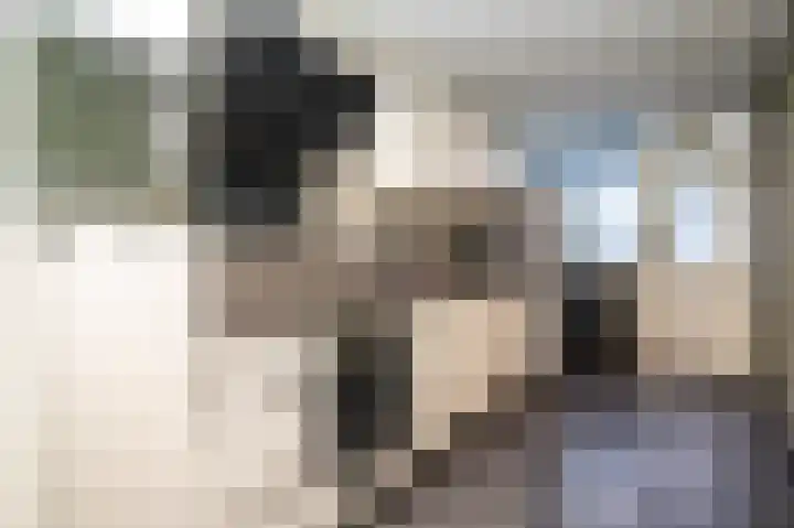 Wethouder Loeffenstraat 7 Ewijk thumbnail 4
