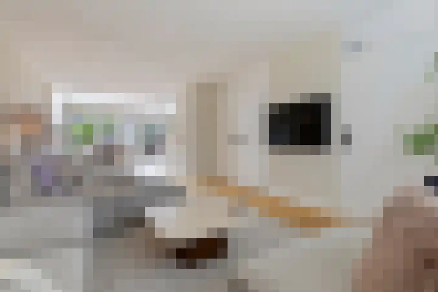 Wethouder Lommenstraat 24 Venlo thumbnail 9